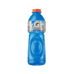 Gatorade de BlueBerry 500ml