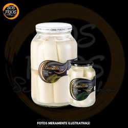 Palmito Palmeira Real