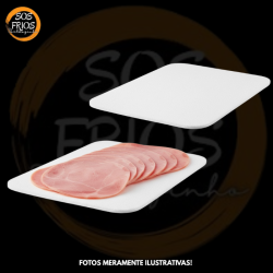 Prancha Placa Isopor 003...