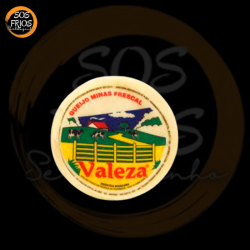 Queijo frescal light - Valeza